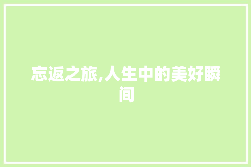 忘返之旅,人生中的美好瞬间