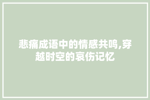 悲痛成语中的情感共鸣,穿越时空的哀伤记忆