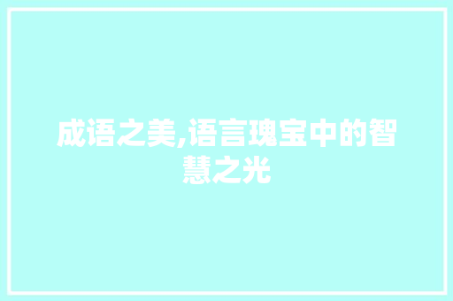 成语之美,语言瑰宝中的智慧之光