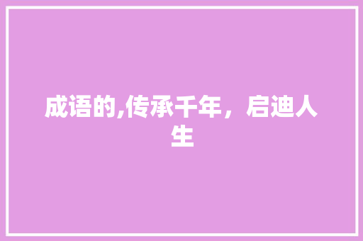 成语的,传承千年，启迪人生