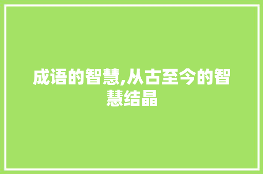 成语的智慧,从古至今的智慧结晶