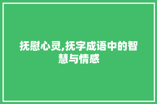抚慰心灵,抚字成语中的智慧与情感