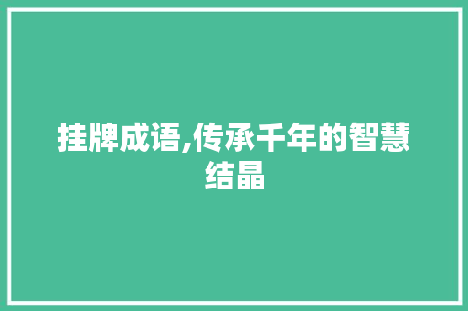 挂牌成语,传承千年的智慧结晶