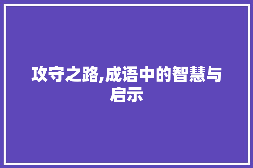 攻守之路,成语中的智慧与启示