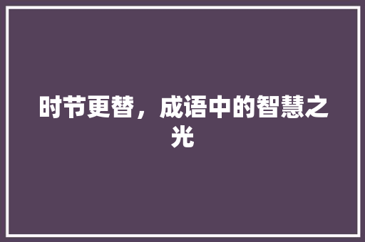 时节更替，成语中的智慧之光