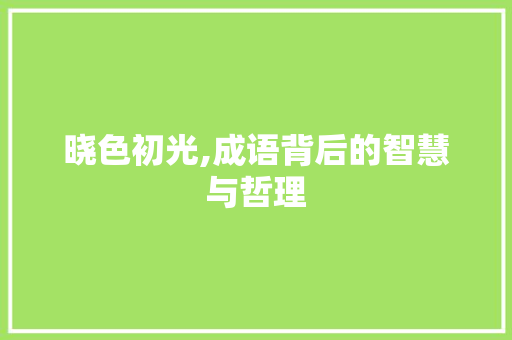 晓色初光,成语背后的智慧与哲理