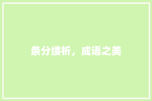 条分缕析，成语之美