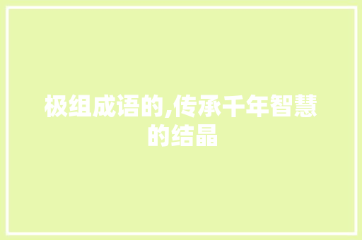 极组成语的,传承千年智慧的结晶