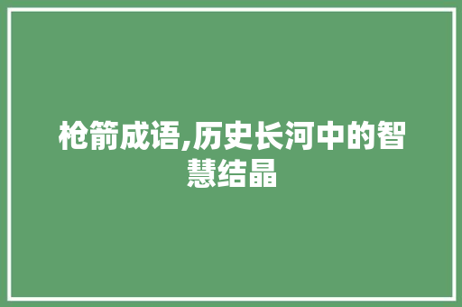 枪箭成语,历史长河中的智慧结晶
