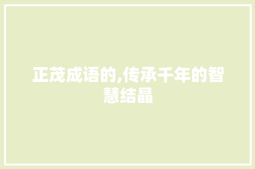 正茂成语的,传承千年的智慧结晶