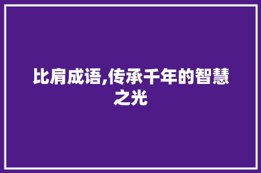 比肩成语,传承千年的智慧之光