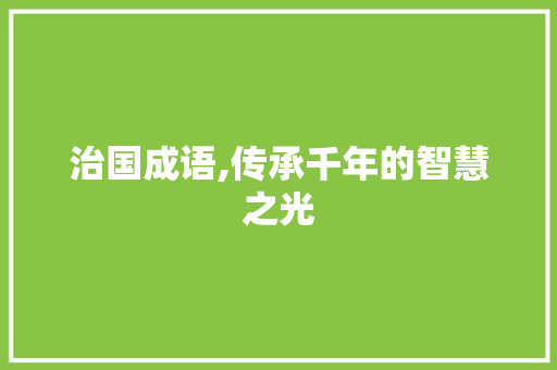 治国成语,传承千年的智慧之光