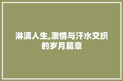 淋漓人生,激情与汗水交织的岁月篇章 诗词鉴赏