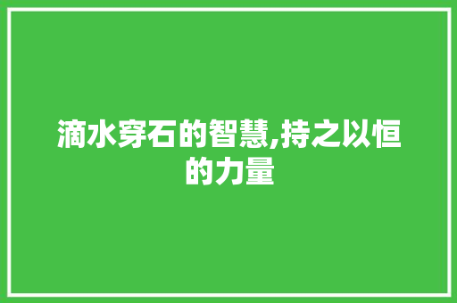 滴水穿石的智慧,持之以恒的力量