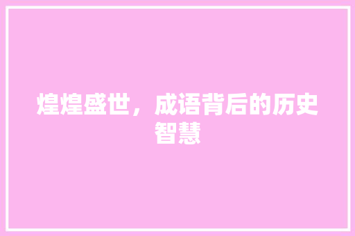 煌煌盛世，成语背后的历史智慧