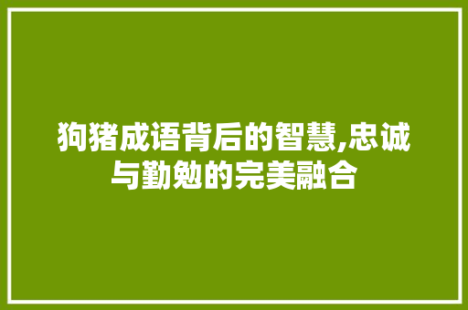 狗猪成语背后的智慧,忠诚与勤勉的完美融合