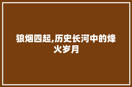 狼烟四起,历史长河中的烽火岁月