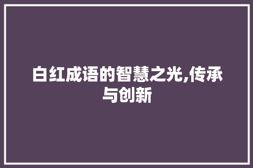 白红成语的智慧之光,传承与创新