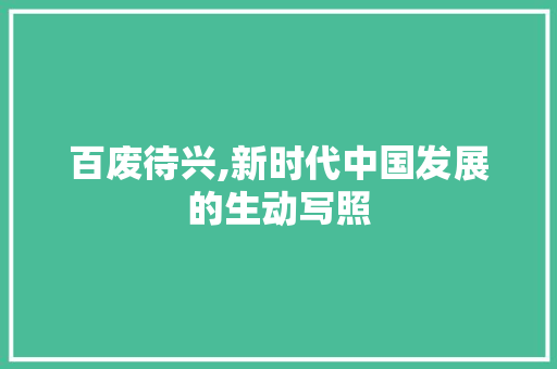 百废待兴,新时代中国发展的生动写照