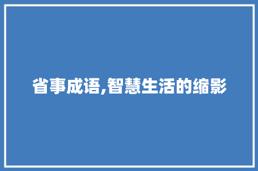 省事成语,智慧生活的缩影