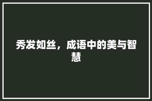 秀发如丝，成语中的美与智慧
