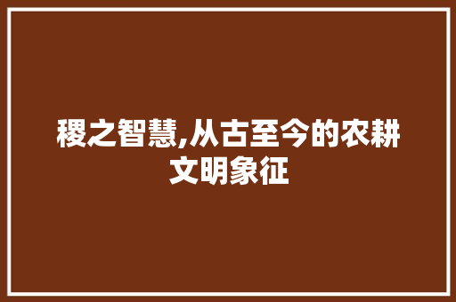 稷之智慧,从古至今的农耕文明象征