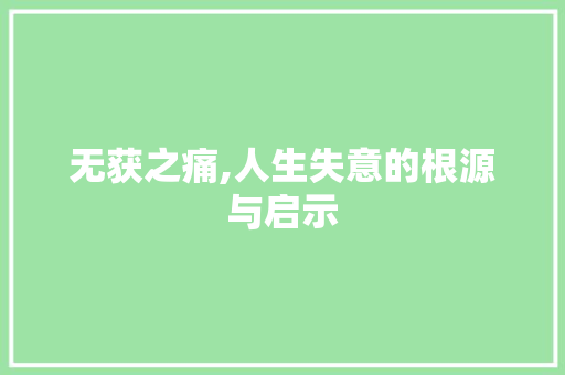 无获之痛,人生失意的根源与启示