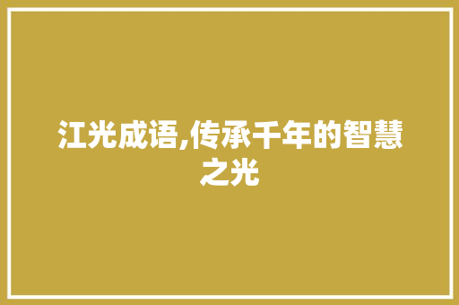 江光成语,传承千年的智慧之光
