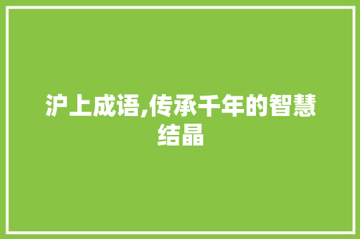 沪上成语,传承千年的智慧结晶