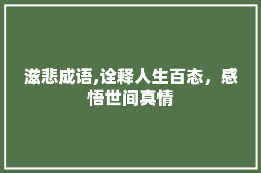 滋悲成语,诠释人生百态，感悟世间真情