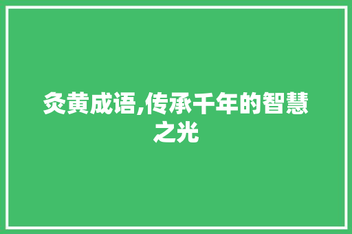 灸黄成语,传承千年的智慧之光