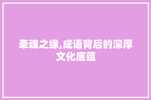 牵魂之缘,成语背后的深厚文化底蕴