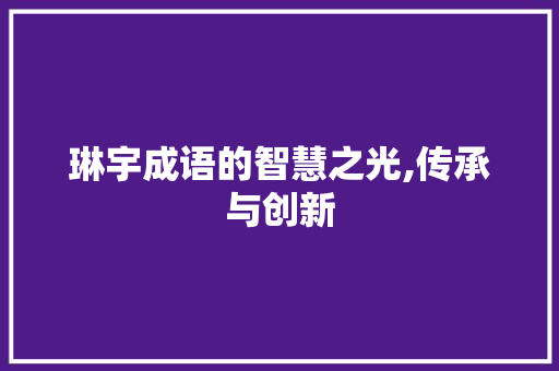 琳宇成语的智慧之光,传承与创新