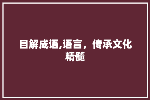 目解成语,语言，传承文化精髓
