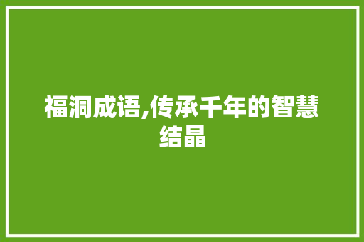 福洞成语,传承千年的智慧结晶