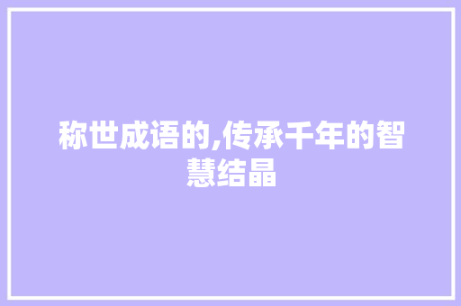 称世成语的,传承千年的智慧结晶