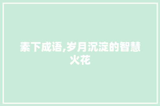 素下成语,岁月沉淀的智慧火花