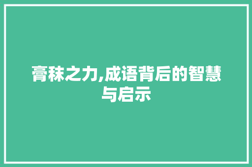 膏秣之力,成语背后的智慧与启示