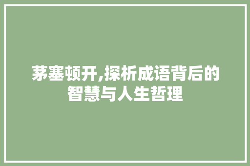 茅塞顿开,探析成语背后的智慧与人生哲理