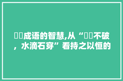 蒟蒻成语的智慧,从“蒟蒻不破，水滴石穿”看持之以恒的力量