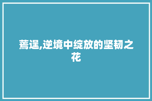 蔫逞,逆境中绽放的坚韧之花