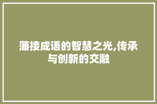 藩接成语的智慧之光,传承与创新的交融