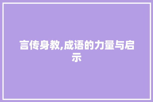 言传身教,成语的力量与启示
