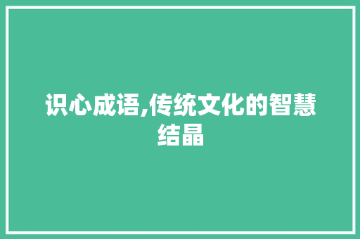 识心成语,传统文化的智慧结晶
