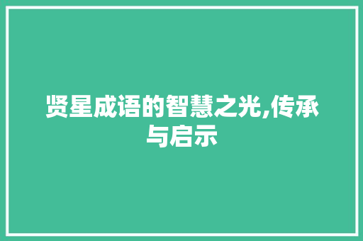 贤星成语的智慧之光,传承与启示