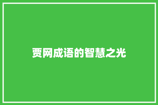 贾网成语的智慧之光