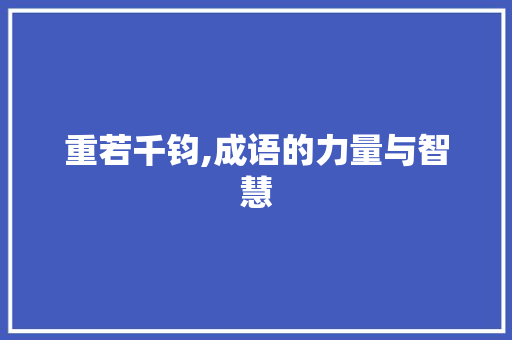 重若千钧,成语的力量与智慧