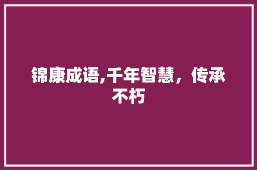 锦康成语,千年智慧，传承不朽