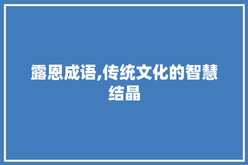 露恩成语,传统文化的智慧结晶