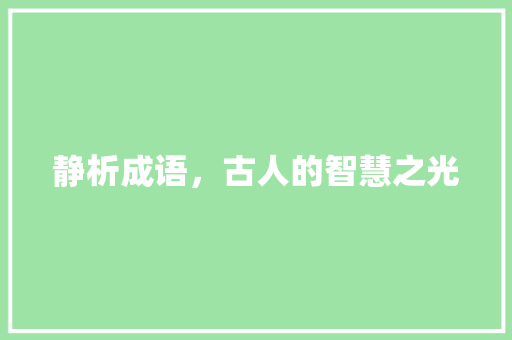 静析成语，古人的智慧之光